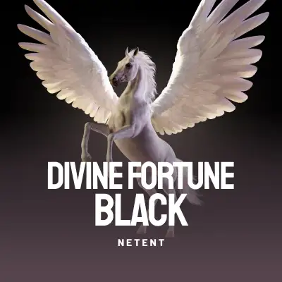 Divine Fortune Black