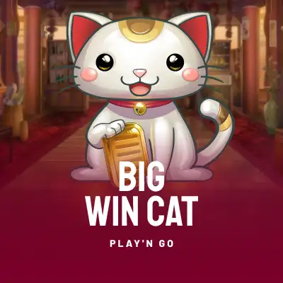 Big Win Cat