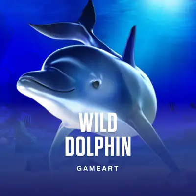 Wild Dolphin