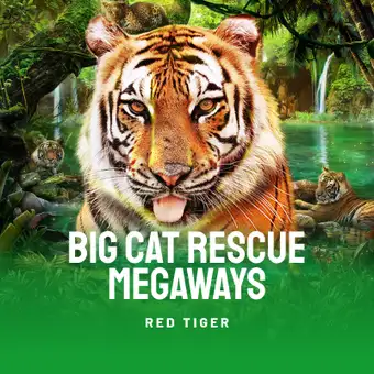 Big Cat Rescue Megaways