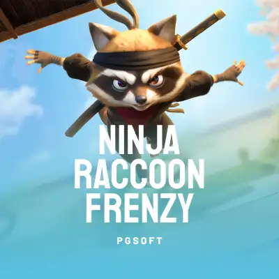 Ninja Raccoon Frenzy