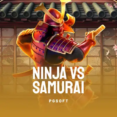 Ninja vs Samurai